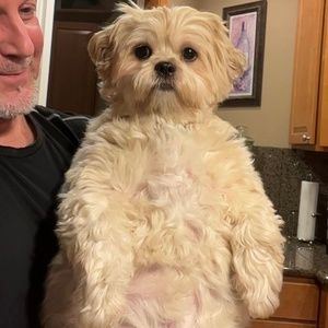 Meet your Posher, Ethan